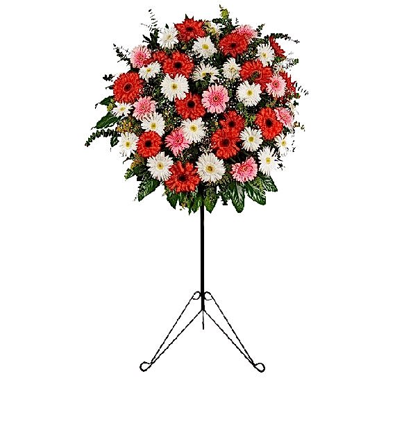 Renkli Gerbera Ferforje